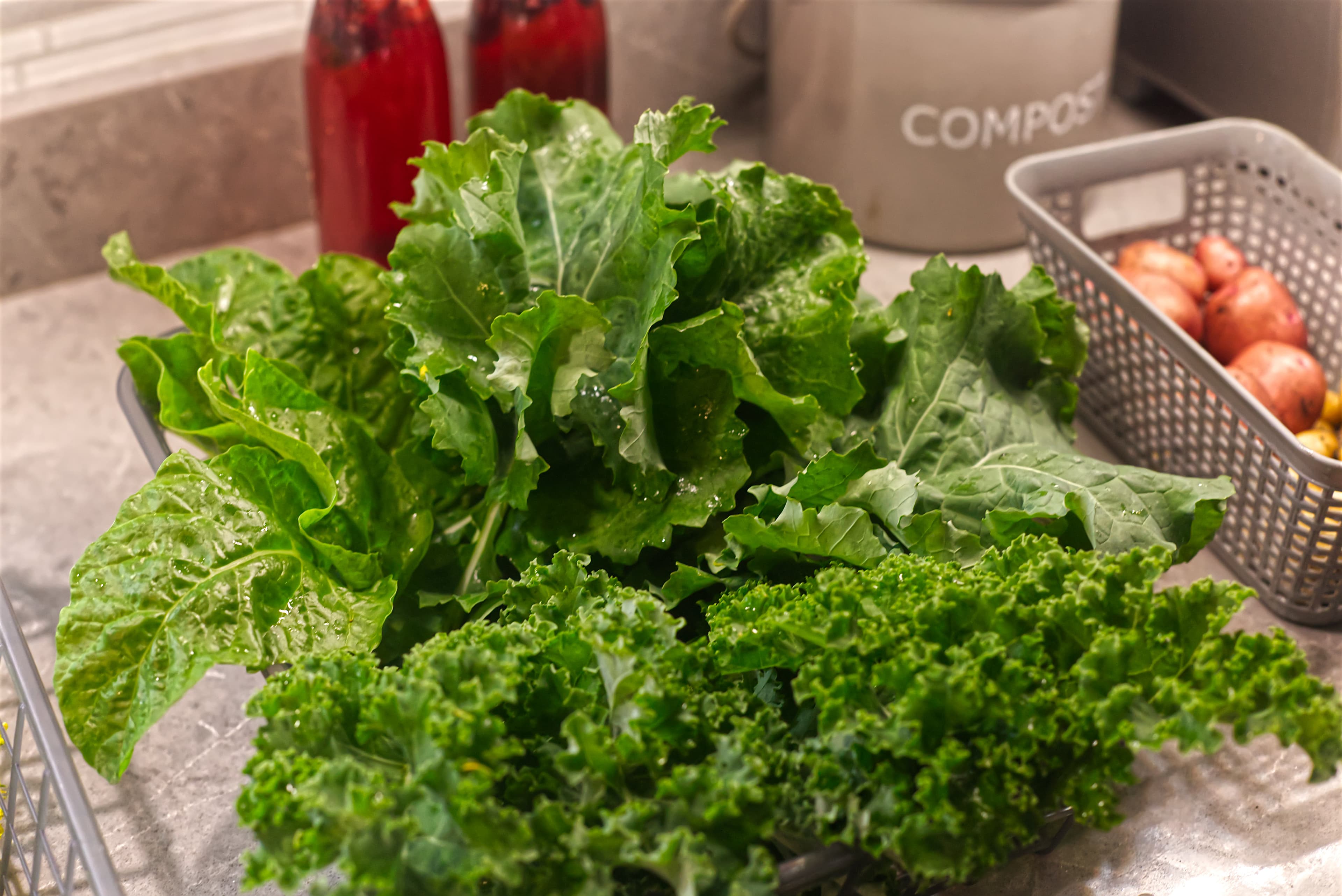 Kale and Mixed Greens Harvest — FAQ Alt A generous harvest of kale and mixed leafy greens from a home vegetable garden.