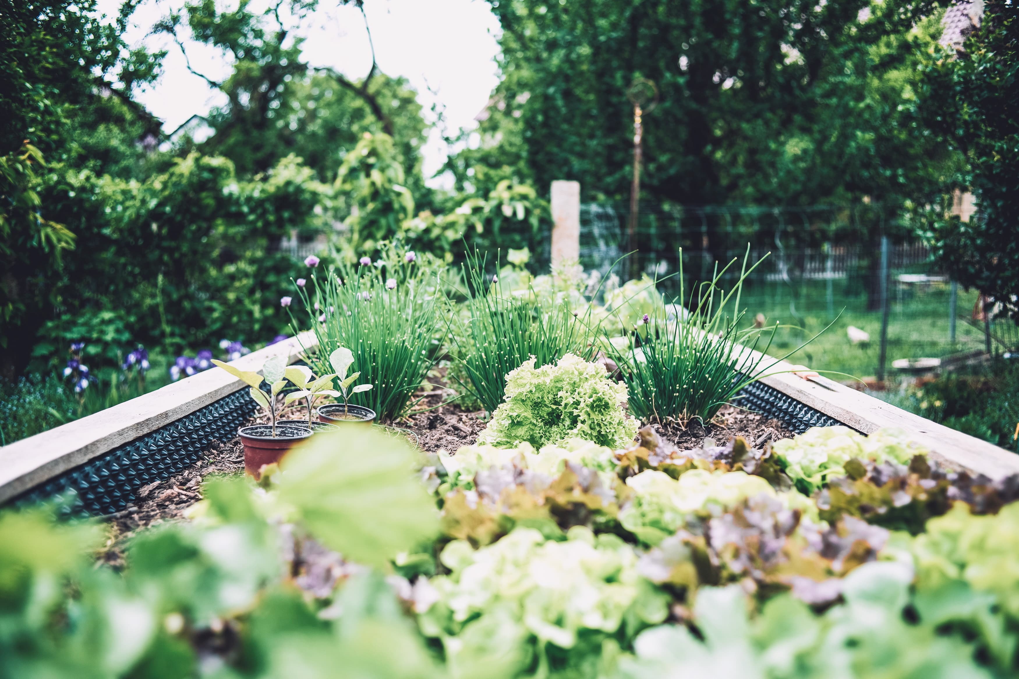 Hero Image Hero Image