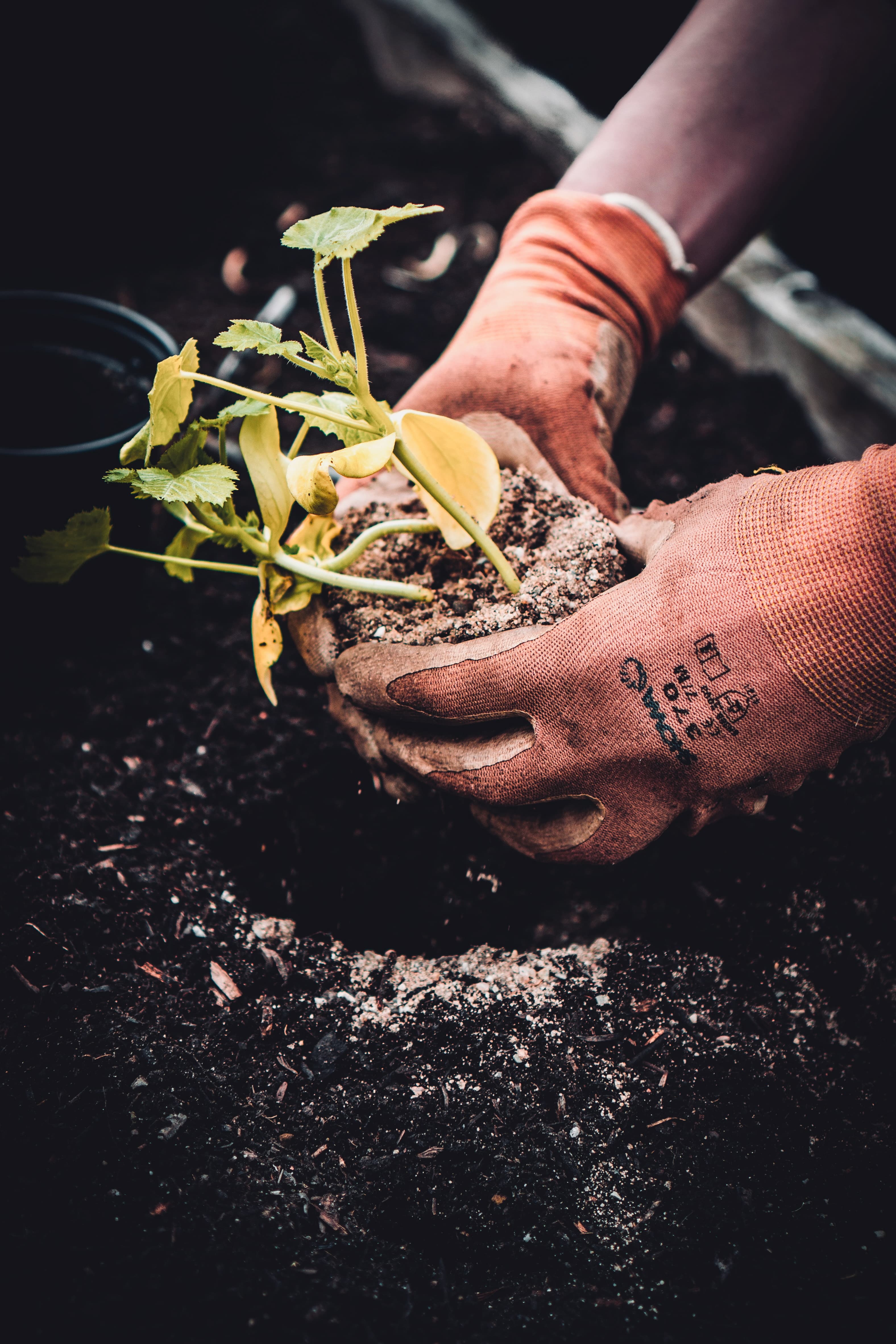 What We Do Image 1 What We Do Image 1